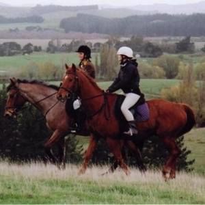 Meet your Posher, Haley